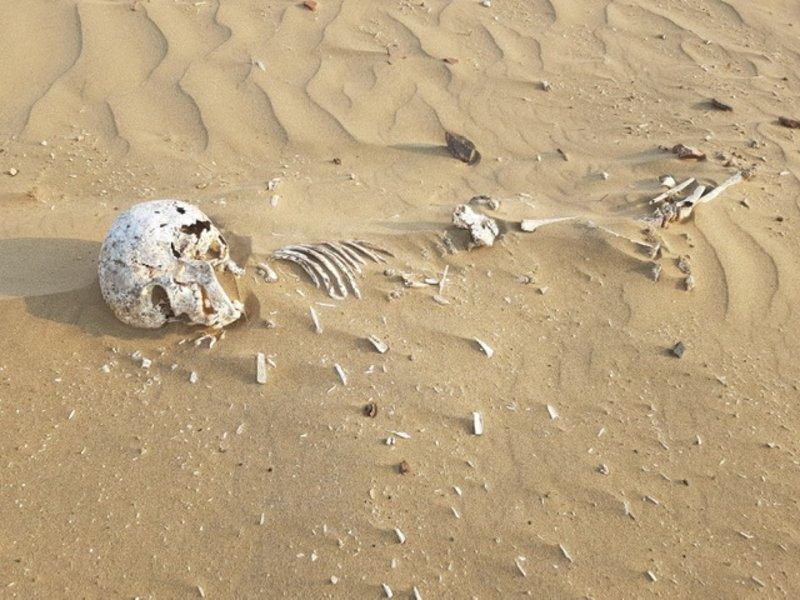 مواطن سعودي  يعثر على رفات موتي بعضها متناثرة شمال القنفذة