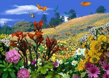 الطقس المملكة تــودع الكتلة الحــارة