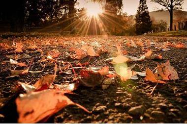 الطقس أجواء خريفية اليوم