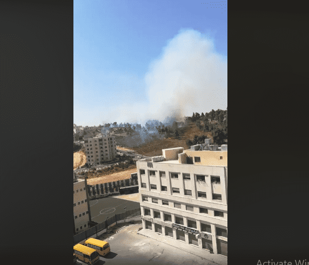 حريق بمنطقة حرجية بتلاع العلي