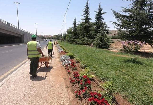 GAM plant nurseries eye selfsufficiency in production