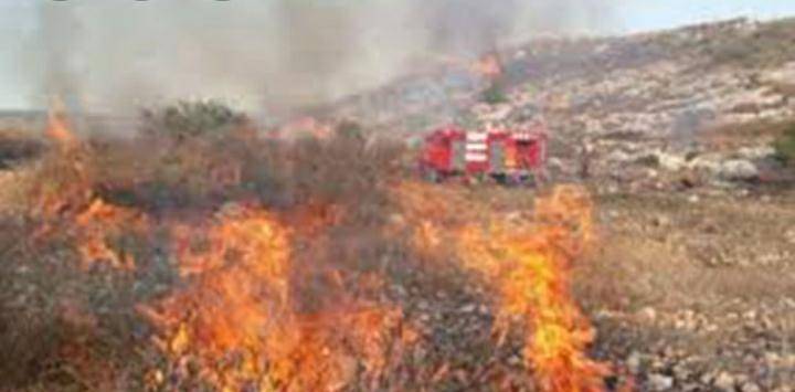 الدفاع المدني يخمد حريق أعشاب جافة في محافظة اربد