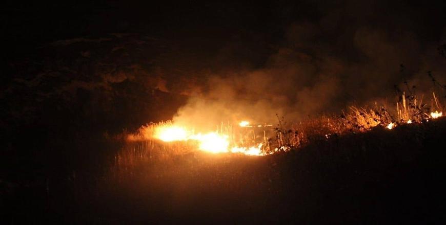 Firefighters battle 3 wildfires in Irbid