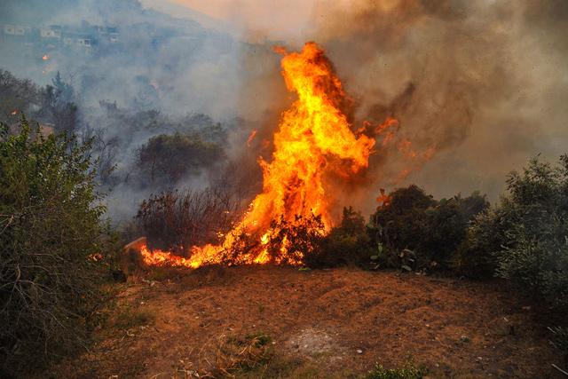 Fires brought under control in Syria, Lebanon