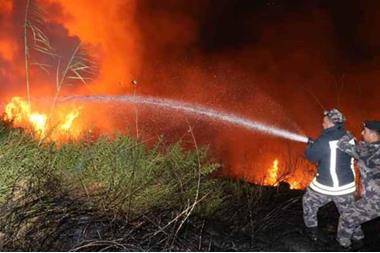 إخماد حريق أعشاب جافة وأشجار حرجية في محافظة البلقاء