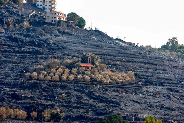 President Assad declares Syria wildfires national catastrophe