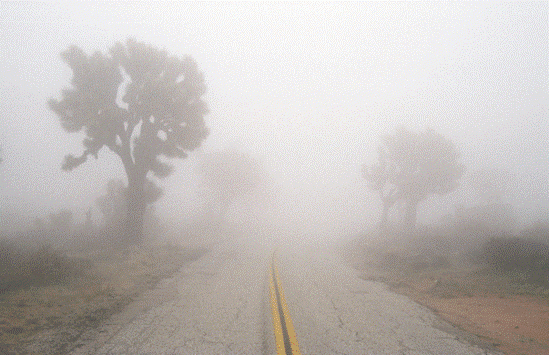 الأمن يحذر من الضباب