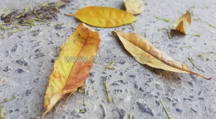 الطقس.. مزيد من الانخفاض على الحرارة الجمعة