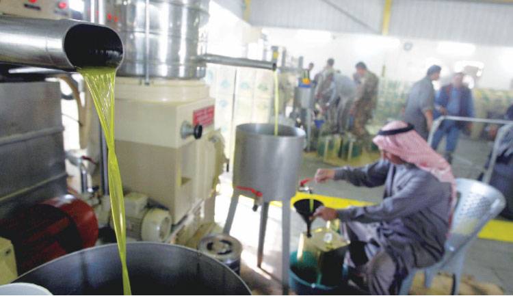 “غش زيت الزيتون” .. عملية تتكرر كل عام و”الزراعة” تؤكد ملاحقتها للمتلاعبين