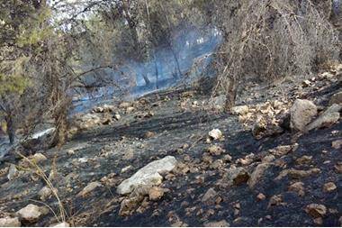 الكورة : اخماد حريقين أتيا على أشجار حرجية ومثمرة