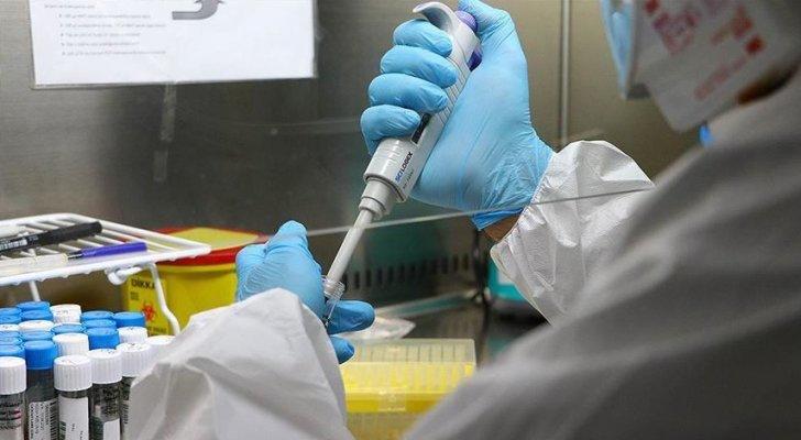 الصحة: فحوص كورونا في المراكز الصحية مجانية