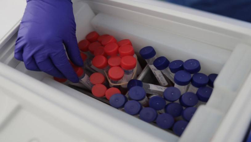 الخرابشة : تضاعف معدل وفيات كورونا 13 مرة بعد 1 تشرين الأول