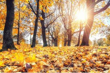 أجواء معتدلة الحـــرارة اليوم