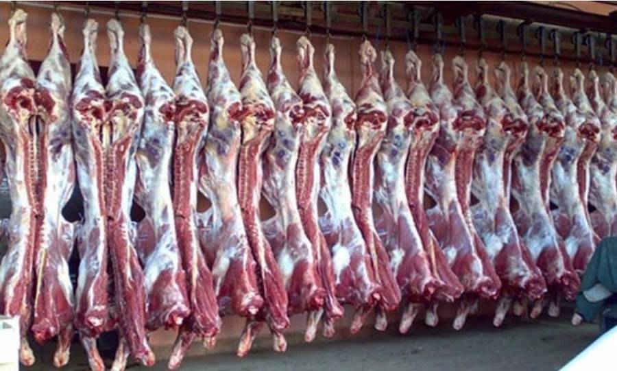 الغذاء والدواء: اتلاف 200 كيلو من اللحوم