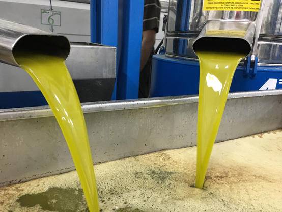 معاصر ترفض (رد الزيت)