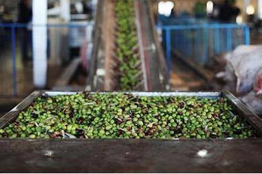 معاصر الزيتون تشتكي من حظر التجول