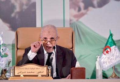 Algerians back constitutional reforms in record low turnout