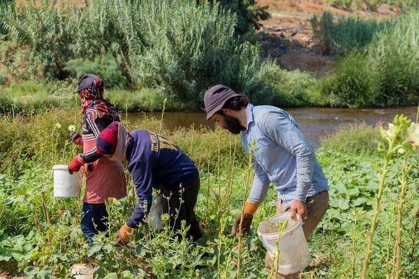 50 ألف مستفيد من (نهر الأردن) خلال 2020