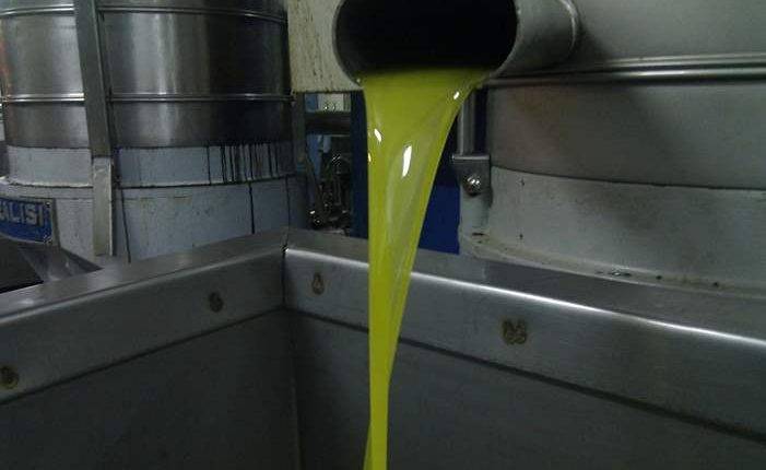 مزارعو الزيتون : (اكلنا هوى)