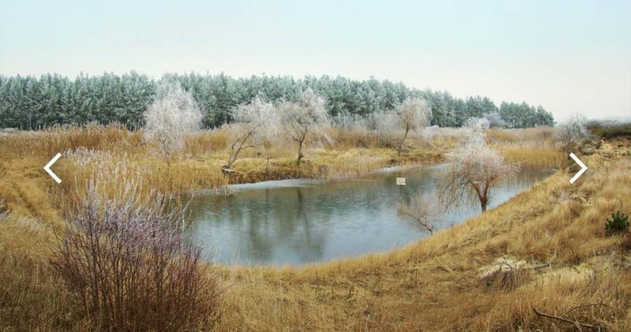 معاذ النوايشة اخر ضحايا البرك المائية والأهالي بالكرك يطالبون مديرية الزراعة بالتدخل