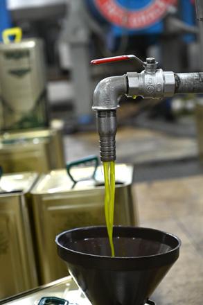 Campaign against olive oil adulteration launched