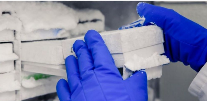 ما هي التحديات التي تنتظر عملية توزيع لقاح كورونا المحتمل؟