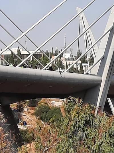 ثني فتاة عن الانتحار من جسر عبدون