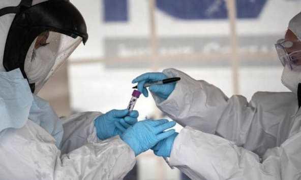 إغلاق مشتل فيصل في جرش لإصابة عدد من العاملين بكورونا