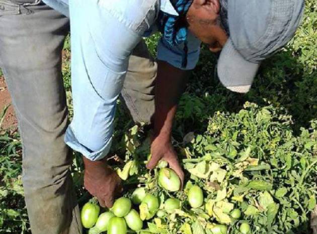 بحث تأجيل استيفاء أقساط قروض المزارعين