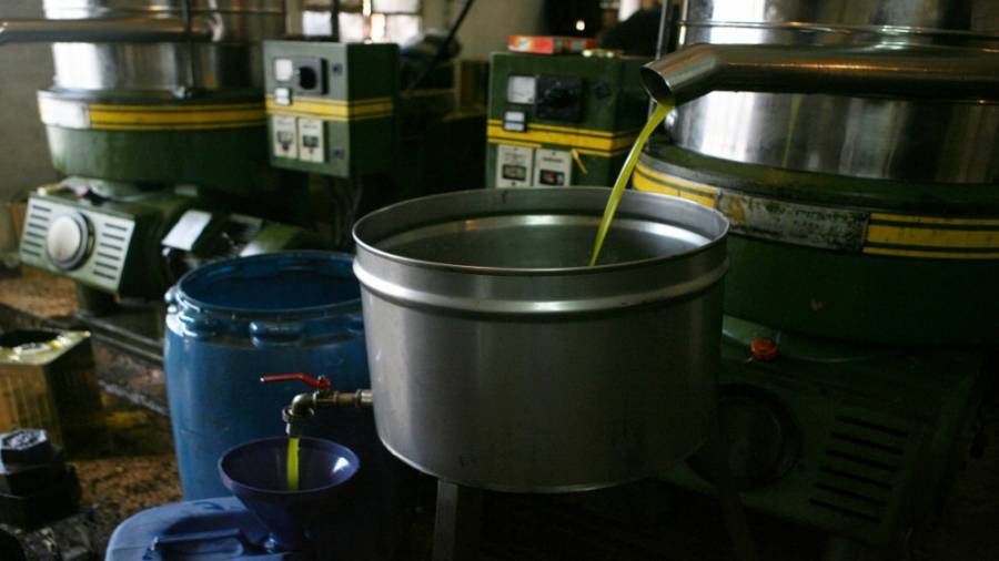 توقع قطف 180 ألف طن زيتون في الأردن .. تفاصيل