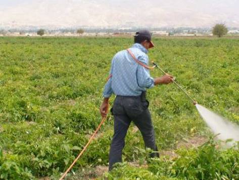 FAO organises workshop focusing on major disasters affecting agricultural sector, food security