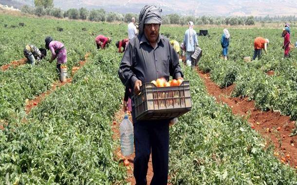 تأجيل أقساط المزارعين لـ3 أشهر