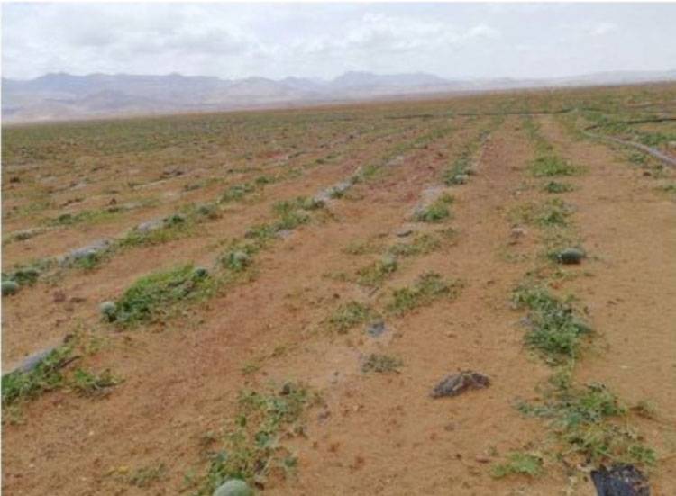 وادي عربة .. 70 من السكان تحت خط الفقر والمنطقة تفتقر لاستراتيجية تنمية