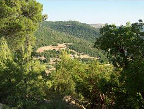 عجلون: متخصصون يدعون للتحول نحو الزراعات ذات القيمة المضافة في ظل كورونا