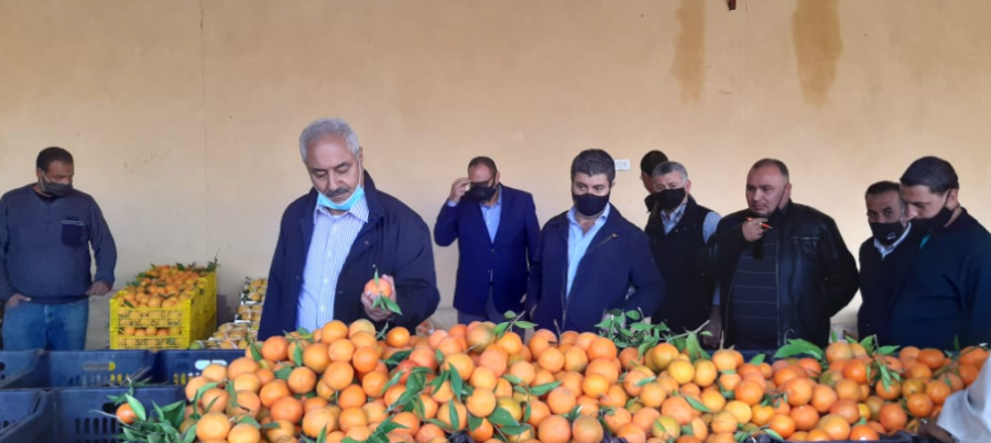 النائب الغزاوي يطالب بتحويل الأغوار إلى منطقة تنموية لإنهاء معاناة المزارعين و الحد من البطالة