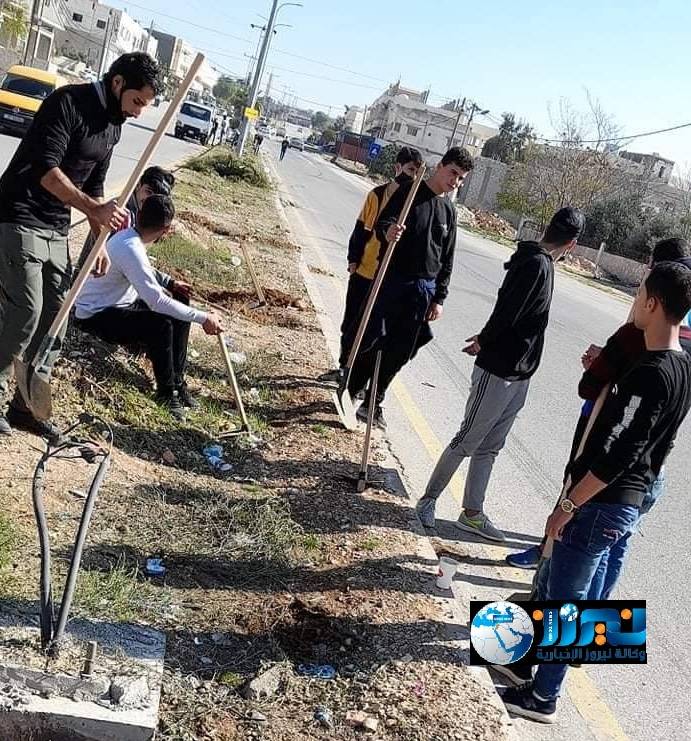 شباب بلدة رحاب يقومون بزرع أشجار حرجية على الطرقات في المفرق... صور
