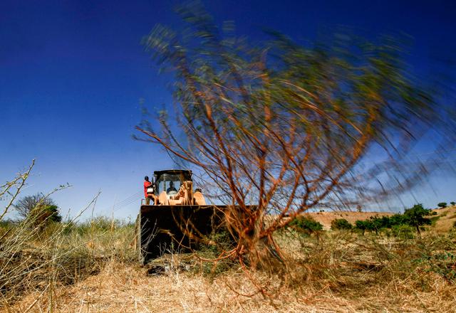 Trees bulldozed to make way for refugee shelters in Sudan