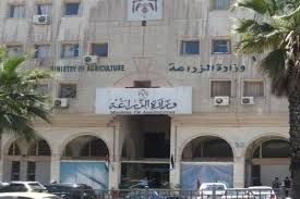 مدير زراعة الزرقاء يتفقد عدداً من مزارع منطقتي الضليل والحلابات