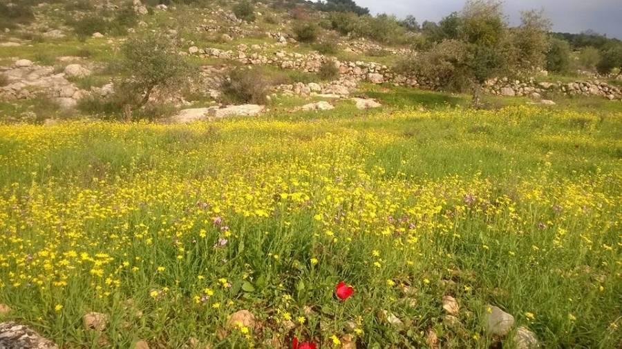 الأحد .. ارتفاع على درجات الحرارة