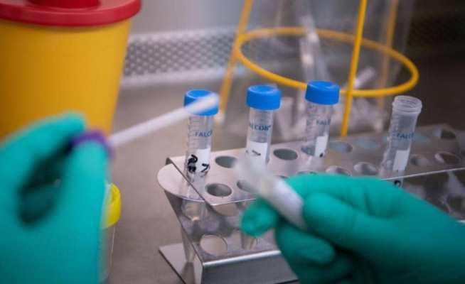 إعلان حاسم من منظمة الصحة