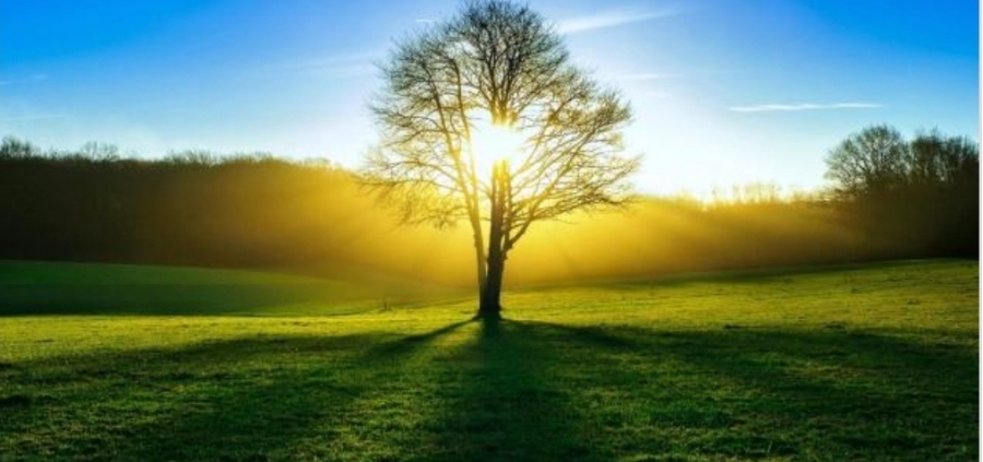 أجواء مشمسة وباردة في معظم مناطق المملكة