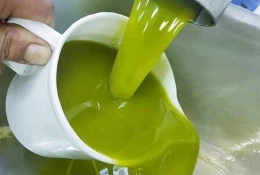 النجداوي : سعر الزيت الحالي اقل من الموسم الماضي بـ 30