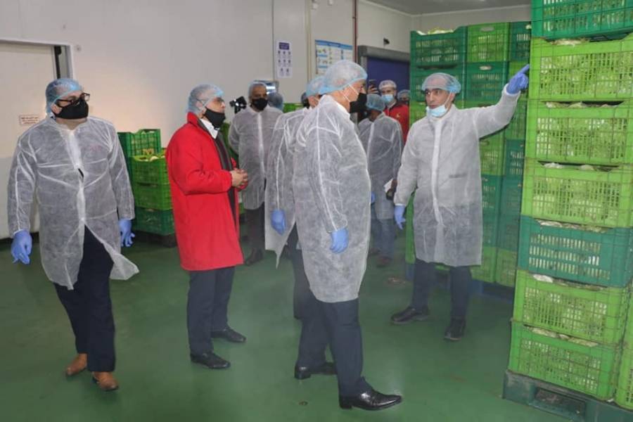 داودية يتفقد مشروعا رياديا