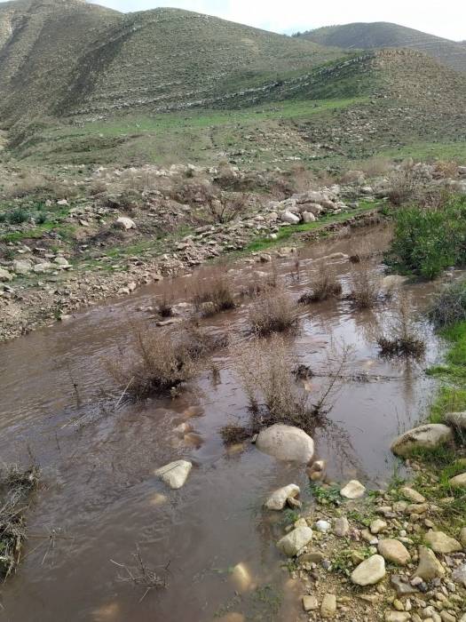فيضان محطة مياة الشلاله شرق بشرى يشوه معالم الحياة الطبيعية في وادي الشجرة... فيديو 