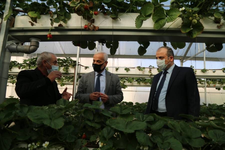 بحث التعاون بين وزارة التنمية الاجتماعية والبحوث الزراعية. 