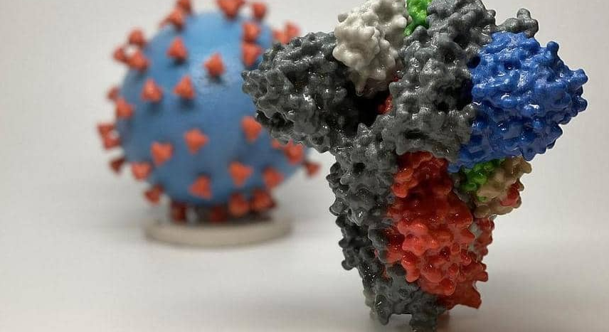 الأوبئة: لا يوجد أي أثر على دخول السلالة الجديدة لفيروس كورونا إلى المملكة