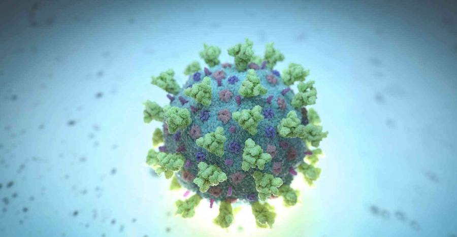 اكتشاف نوع جديد من فيروس كورونا بماليزيا