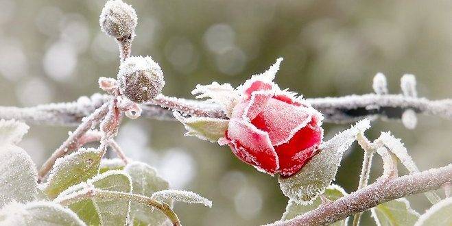 الأرصاد الجوية: كتلة هوائية باردة تجتاح المملكة ...تفاصيل