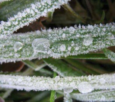 الدفاع المدني يحذر