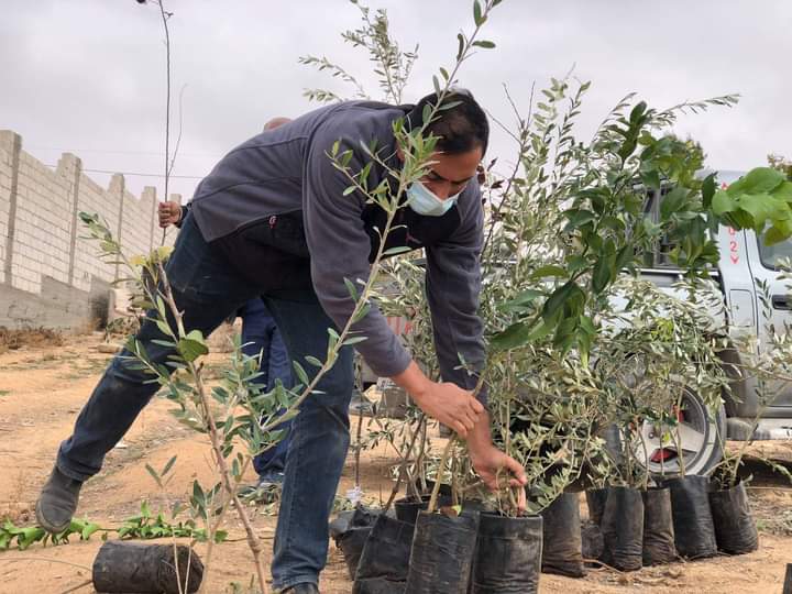 الأردن : العربية لحماية الطبيعة تساهم في تشجير أراضي الظليل